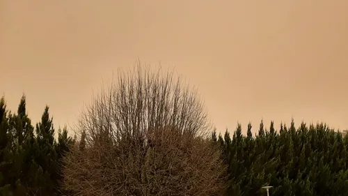 Pourquoi le ciel est jaune ce mardi en Côte-d’Or ?